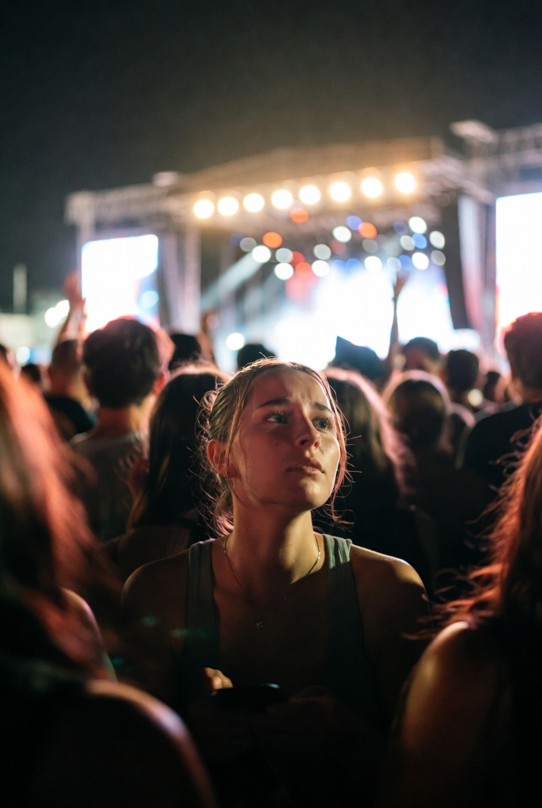 Concert crowd